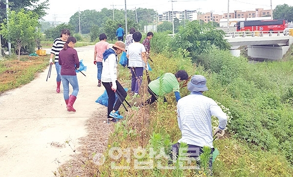 대월면 새마을협의회가 맑은 물 가꾸기 일환으로 관내 하천에 대한 환경정화활동을 펼쳤다.