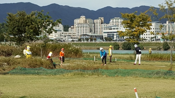 양평군수배 파크골프대회