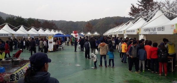 지난해 개최된 이천인삼축제장의 모습