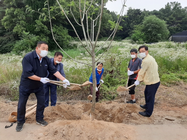 설성면 성호호수 마가목 꽃길 조성사업 추진