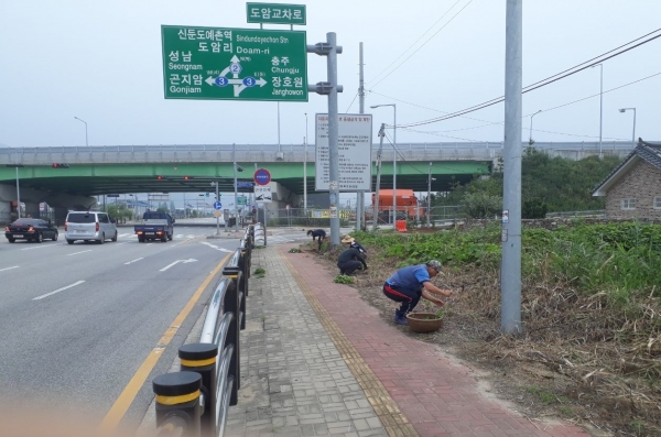 신둔면 도암리 꽃길조성