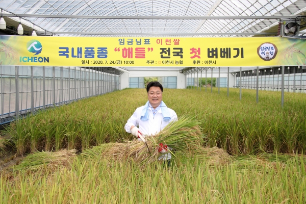 국내육성품종 ‘해들’ 전국 첫 벼 베기