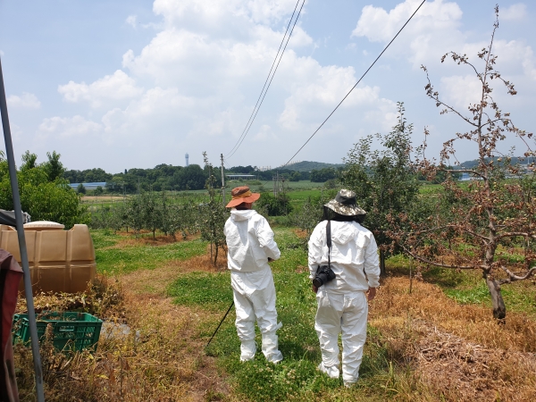 이천시, 과수화상병 정밀 예찰조사