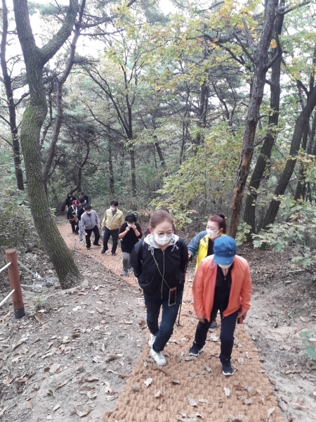 해룡산 거북이 산책로 특성화사업